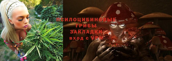 героин Алексин