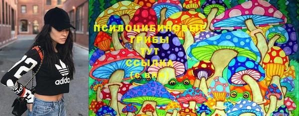 героин Алексин